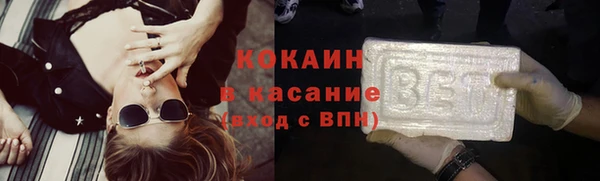 ГАЛЛЮЦИНОГЕННЫЕ ГРИБЫ Михайлов