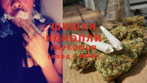 ГАЛЛЮЦИНОГЕННЫЕ ГРИБЫ Михайлов