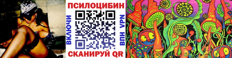 МЕГА ссылки  что такое наркотик  Сухой Лог  Псилоцибиновые грибы Psilocybine cubensis 