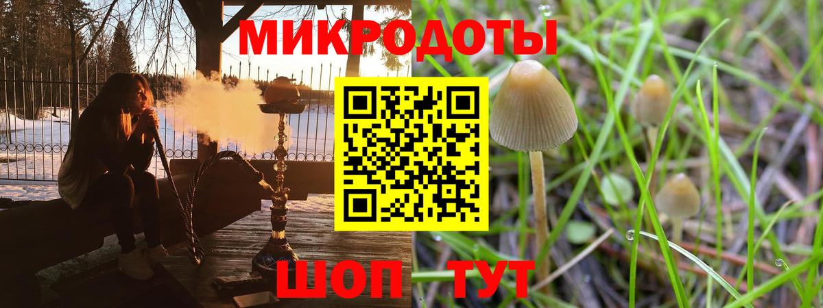 Сухой Лог  Галлюциногенные грибы прущие грибы  даркнет сайт  Вход с VPN 