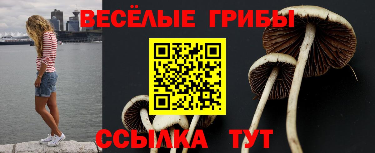 Псилоцибиновые грибы Magic Shrooms Сухой Лог
